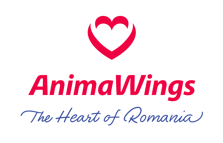 Animawings